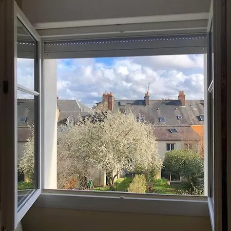 Plein Centre Appartement *