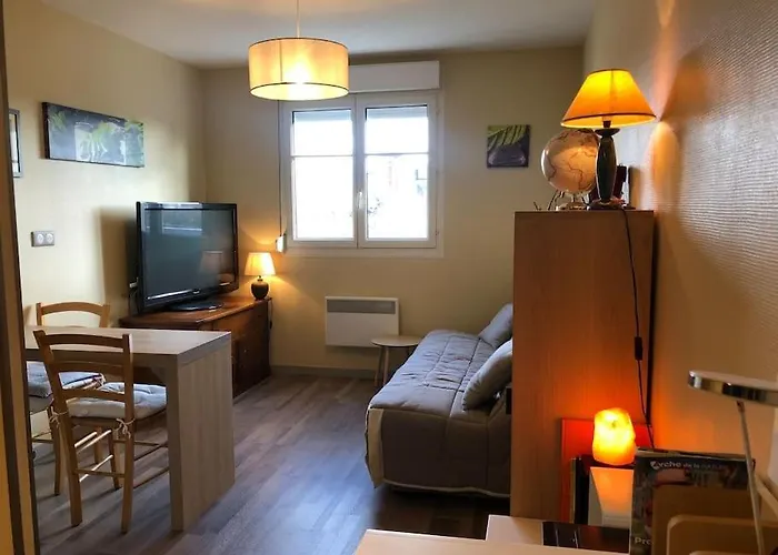 公寓 Plein Centre 勒芒