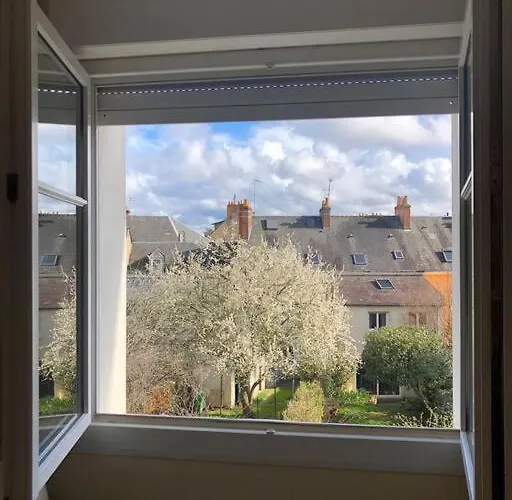 Plein Centre 公寓 *